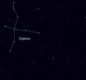 Cygnus