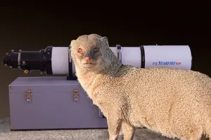 Mongoose guarding telescope