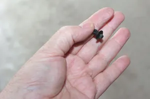 Quick rivet