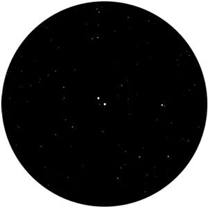 medium magnification